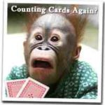 card counting monkey